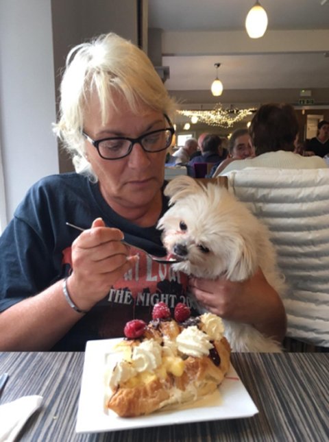 BusyBee60 from Victoria,Australia